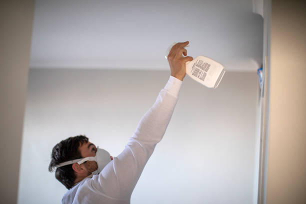 Best Affordable Mold Removal  in Cockeysville, MD