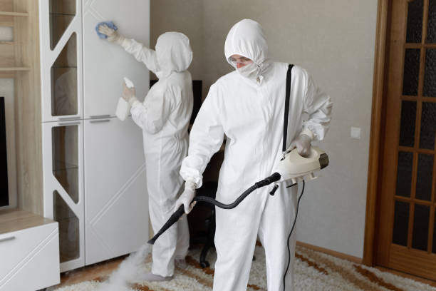 Best Professional Mold Removal  in Cockeysville, MD
