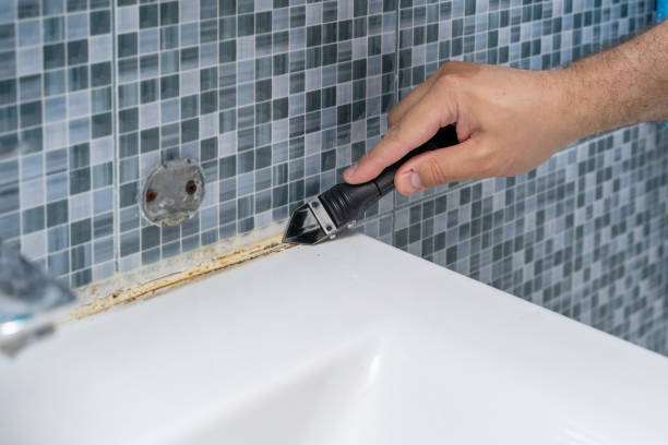 Best Mold Remediation  in Cockeysville, MD